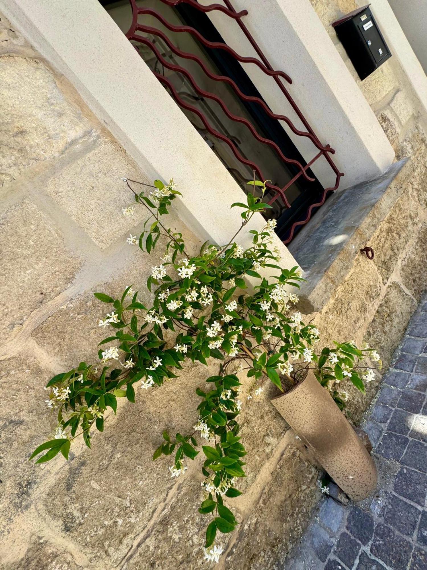 Maison De Village Renovee ! Ле-Гро-дю-Руа Екстер'єр фото